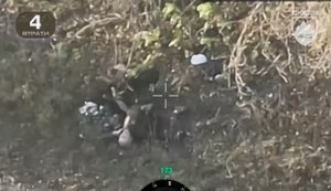 Українські собаки доїдають російських штурмовиків на Покровському напрямку. ВIДЕО