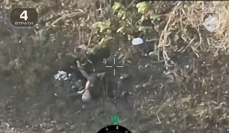 Українські собаки доїдають російських штурмовиків на Покровському напрямку. ВIДЕО