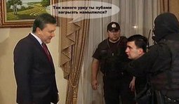 Каво?