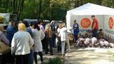 выборы омельченко подкуп картошка единство бродкий картофель