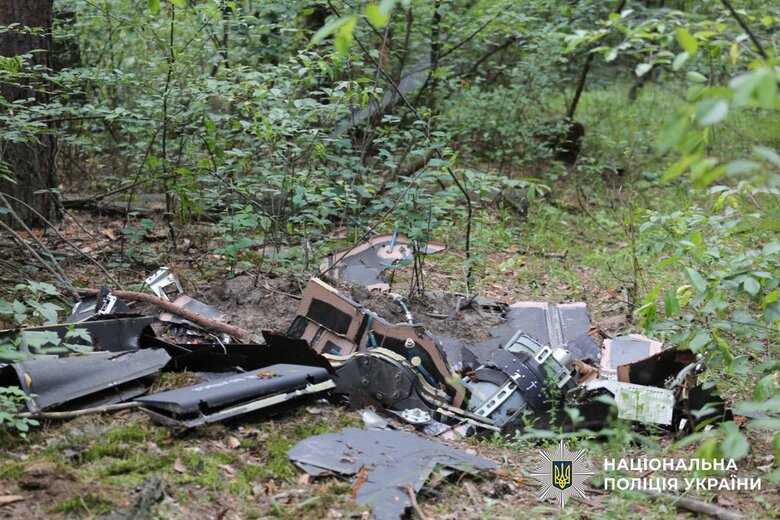 Два шахеди виявили у лісі на околицях Києва
