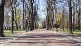 Київ на карантині: порожні парки і самотні перехожі. ФОТОрепортаж