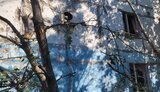 область,запорізька