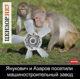 Эксперты