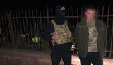 Схема нелегальной торговли древесиной через государственный лесхоз раскрыта на Закарпатье, - СБУ. ВИДЕО