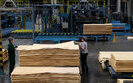 plywood production
