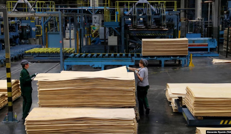 EU purchased €1.5 billion worth of sanctioned plywood from Russia and Belarus - investigation