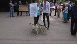 гпу акция ирпень буча