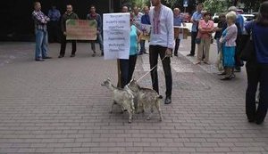 Під Генпрокуратурою вимагають активізації розслідування щодо мерів Бучі та Ірпеня, - нардеп Червакова. ФОТО
