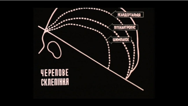 Україна викупила в Японії один зі своїх перших наукових фільмів, що вважався втраченим 01