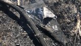 В Киевской и Житомирской областях пожары в лесах из-за обломков дронов