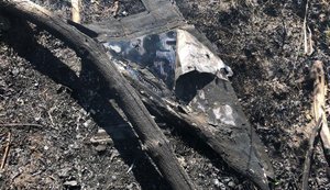 Обстрелы Киевской и Житомирской областей: вспыхнули лесные пожары. ФОТОРЕПОРТАЖ