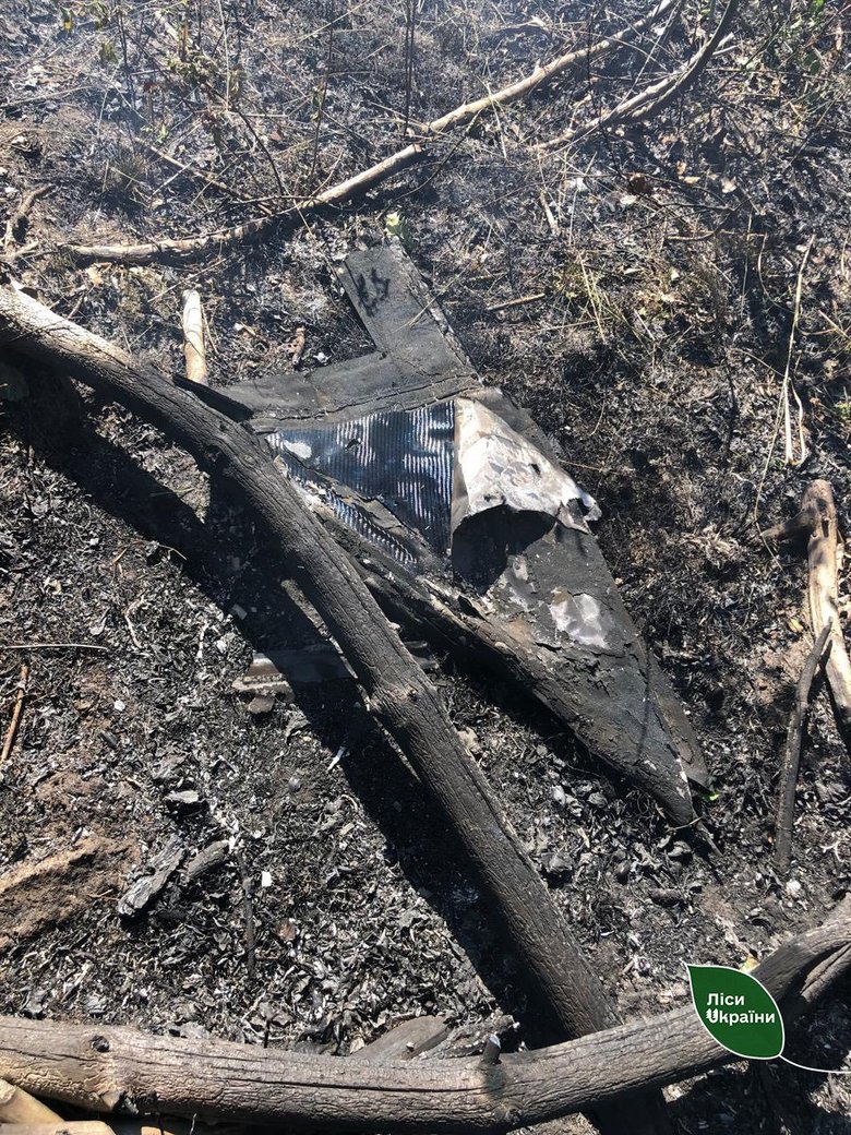 На Київщині та Житомирщині пожежі в лісах через уламки дронів