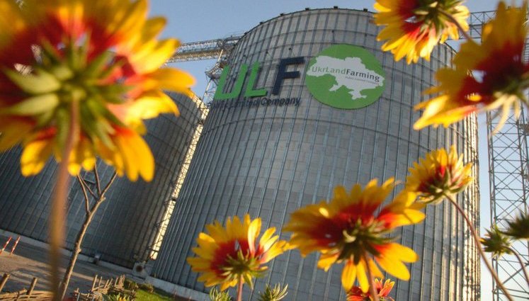 Maize takes up 60% of UkrLandFarming's sown area this season