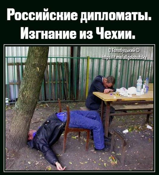 Будни посольства