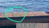 Испытания ракеты "Нептун" прошли успешно - цель была поражена с дистанции 75 км, но на дальнейшую разработку ракеты государство не выделяет денег, - Бутусов