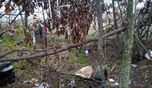 Рашисти під час окупації Херсонщини вбили та повісили червонокнижних хом’яків. ФОТО