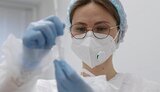 Введение комендантского часа в Украине пока не рассматривается, – Степанов