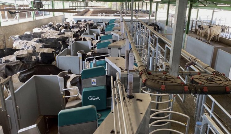 На Київщині збудують найбільшу в світі роботизовану молочну ферму