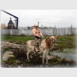 Россия вперед!