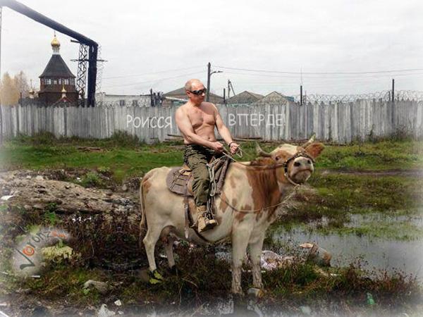 Россия вперед!