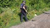 На КПВВ "Майорське" виявили ще один снаряд, - Чечоткін