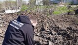 снігурівка