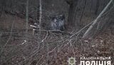 Автомобиль насмерть сбил лося в зоне отчуждения ЧАЭС - пострадали четверо иностранцев. ФОТО