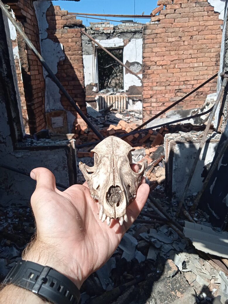 Кулеметник Шутнік з Азова Сергій Фіщук: Не було жодного дня, щоб не стріляли в нашому секторі. Якщо в інших бувають якісь дні затишшя, то в нас, якщо ворог не намагається просунутись, то просто гатить градами в поле чи річку 06