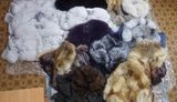 Провідник поїзда "Москва-Харків" сховав у стелі 15 шуб, намагаючись незаконно провезти їх через кордон, - Держприкордонслужба. ВІДЕО+ФОТО