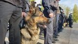 Полицейские провели проверку ряда населенных пунктов на Донбассе - составлено 15 протоколов, - штаб ООС. ФОТОрепортаж