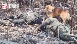 Бійці 28 бригади опублікували кадри знищеного танка та особового складу окупантів