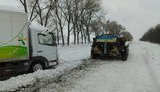 Владелец военного музея на Черкасщине вытащил БТРом из снега около 30 авто, - журналист Радченко. ФОТОрепортаж