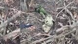Тіла п’ятьох знищених окупантів, що намагалися штурмувати позицію ЗСУ: &#34;Форма ще чистенька&#34;. ВIДЕО
