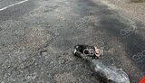 Водій збив ветерана з протезом та втік з місця ДТП: