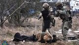 СБУ провела контрдиверсійні навчання поблизу кордону з Білоруссю. ФОТОрепортаж