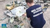 обстріл,чугуєв,харківщина