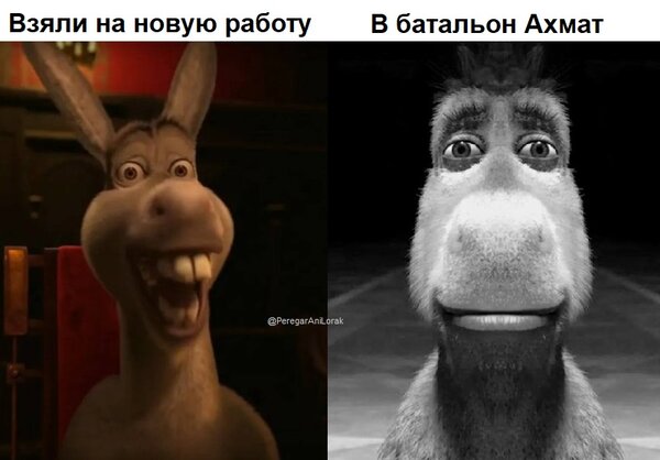 фотожаба