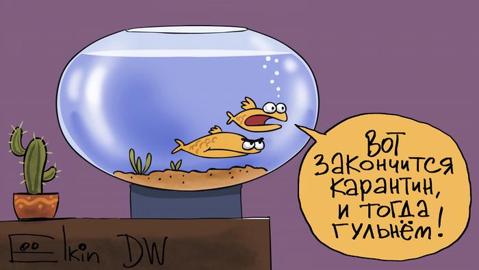 Радужные мечты...