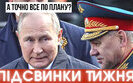 підсвинки