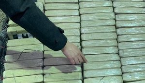 В Одеському порту в контейнері з бананами виявили 257 кг кокаїну, вартістю понад $51 млн, - СБУ. ФОТОрепортаж