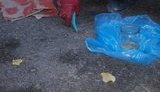 "РАДИКАЛЬная" угроза для столицы: Киев может задохнуться парами ртути