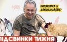 підсвинки