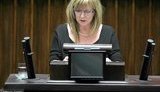 Я ожидаю изменений в исторической политике Украины, - вице-спикер Сейма Польши Госевска