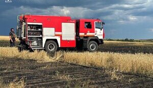 Ворог завдав удару по пшеничному лану