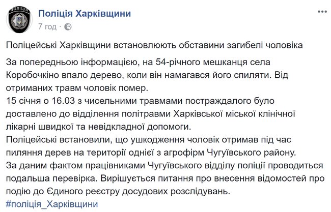 Самовольные лесорубы погибли на Харьковщине и Закарпатье, - полиция   02