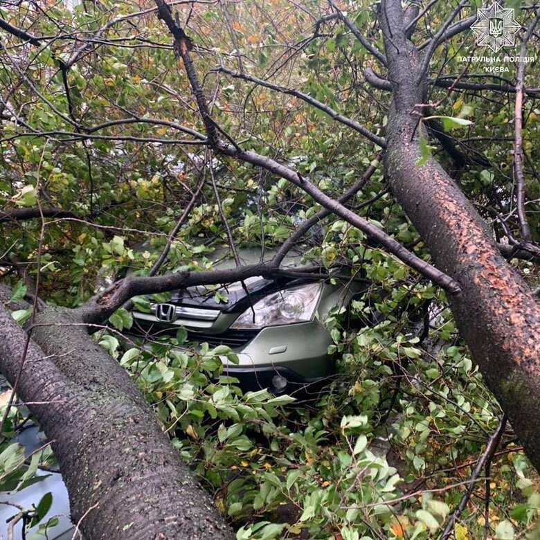 Наслідки негоди у Києві: 2 людини загинули, 3 травмовані, повалені дерева, обірвані проводи (оновлено) 03