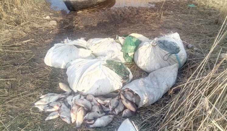 Одеські прикордонники затримали чотирьох браконьєрів із уловом понад 1 тис. рибин, - ДПСУ. ВIДЕО