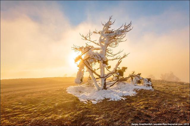 природа крым