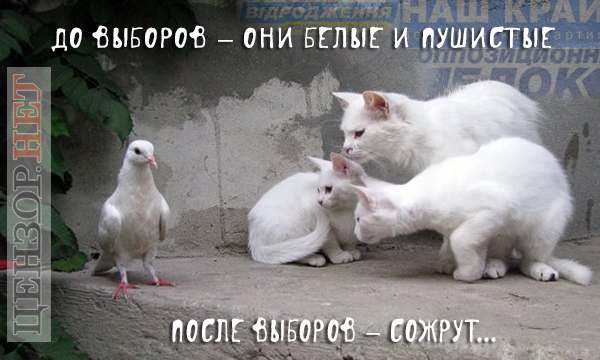 Закон жизни